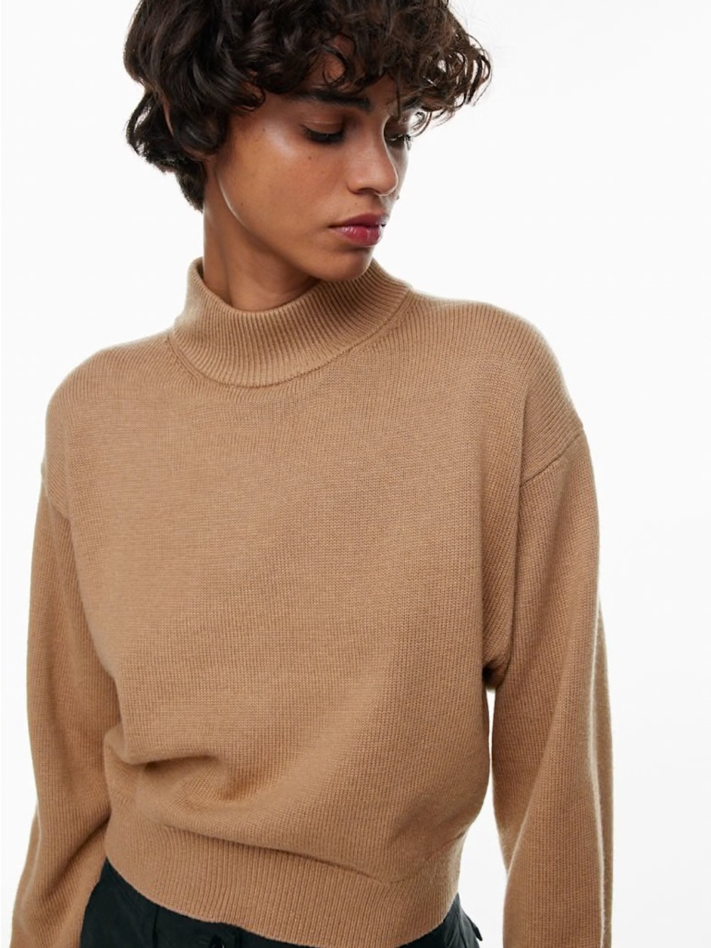 Aritzia Wilfred Harper Merino Wool Turtleneck Sweater